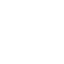 Discord icon